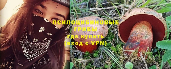 хмурый Алексин