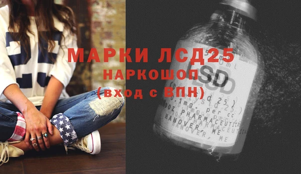 хмурый Алексин