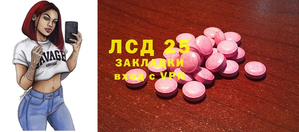прущий лед Алзамай