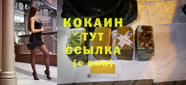 прущий лед Алзамай
