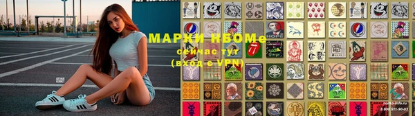 хмурый Алексин