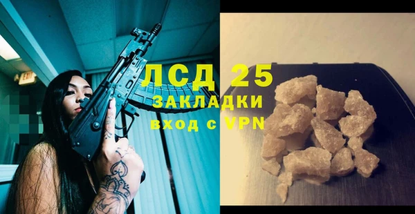 прущий лед Алзамай