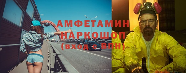 хмурый Алексин