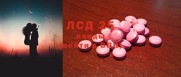 прущий лед Алзамай