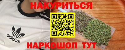 прущие грибы Усть-Джегута