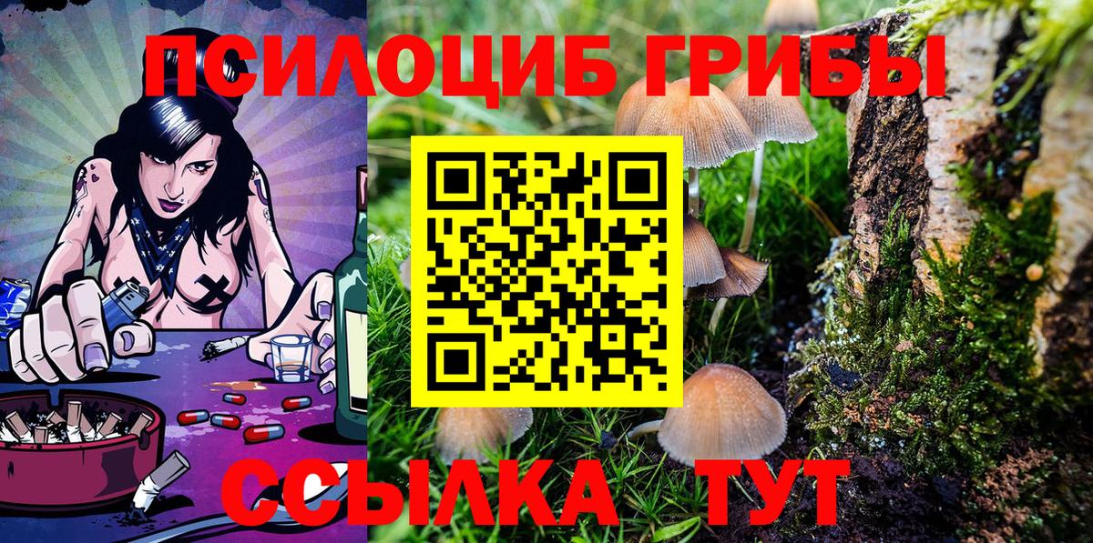 Псилоцибиновые грибы Psilocybine cubensis  Вход с VPN  Псилоцибиновые грибы Psilocybe  Новоуральск 