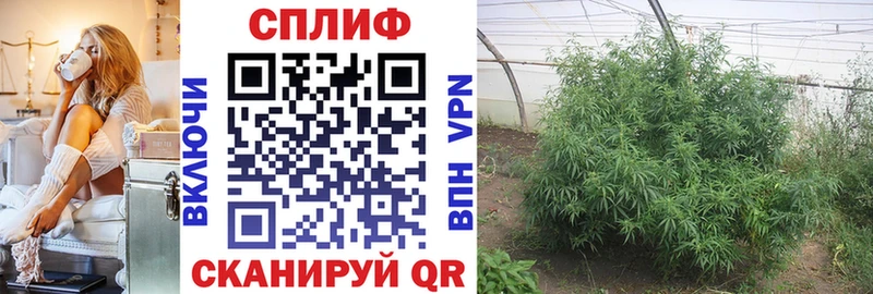 Бошки марихуана OG Kush  где купить наркоту  blacksprut   Новоуральск 